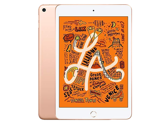 Apple iPad mini (2019) 5th Gen 256GB Wi-Fi Gold (Refurbished)