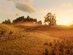 Red Dead Redemption 2 Ultimate Edition - XBOX Live Key - GLOBAL