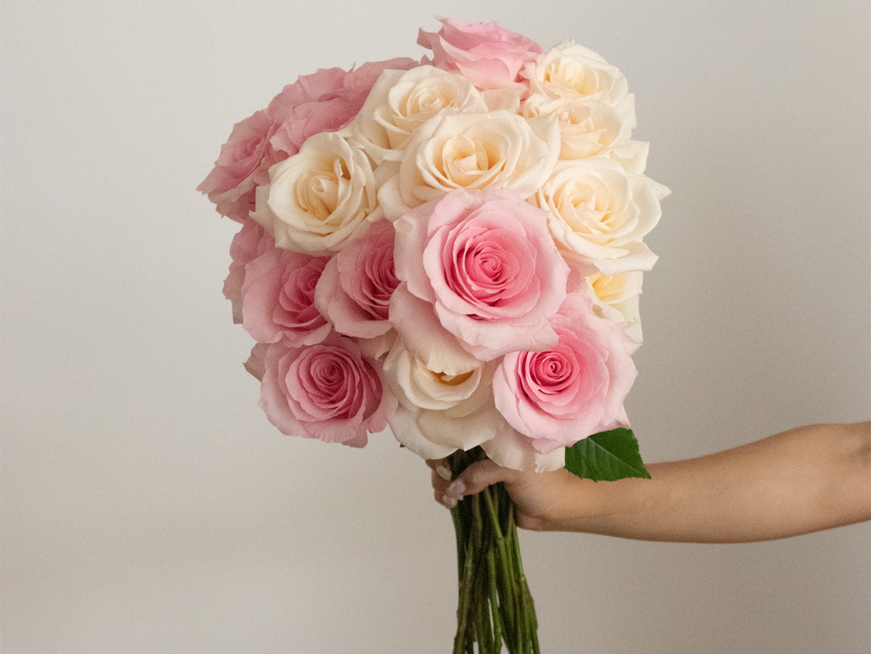 Get 2 Dozen Farmer's Color Choice Long-Stem Roses for Only $24.99! (Shipping Not Included)
