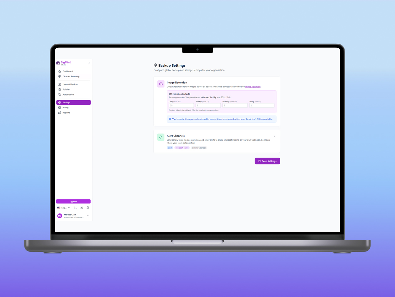 BigMind Disaster Recovery Pro Plan: Lifetime Subscription