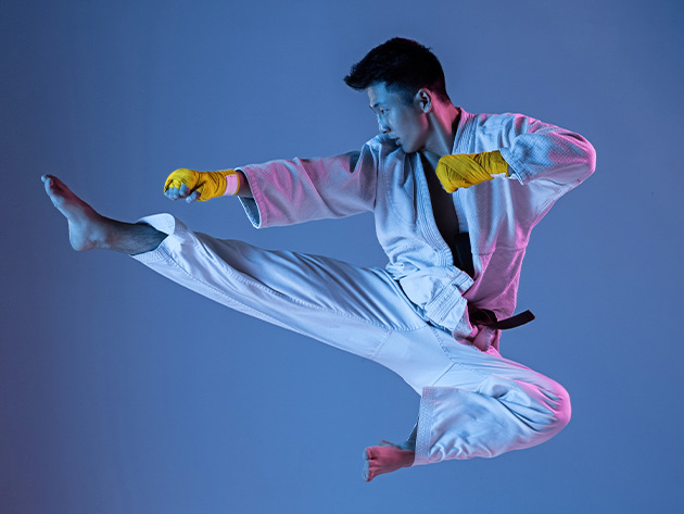 Martial Arts Workout Challenge: Daily Exercise Routines Course