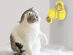 Cat LED Toy Spinner