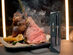 MeatStick 4X Wireless Meat Thermometer Set with Quad Sensors & 650ft Range