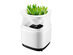 Desktop Air Purifier with Planter