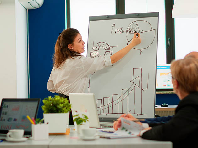 The Ultimate Project Management Bundle