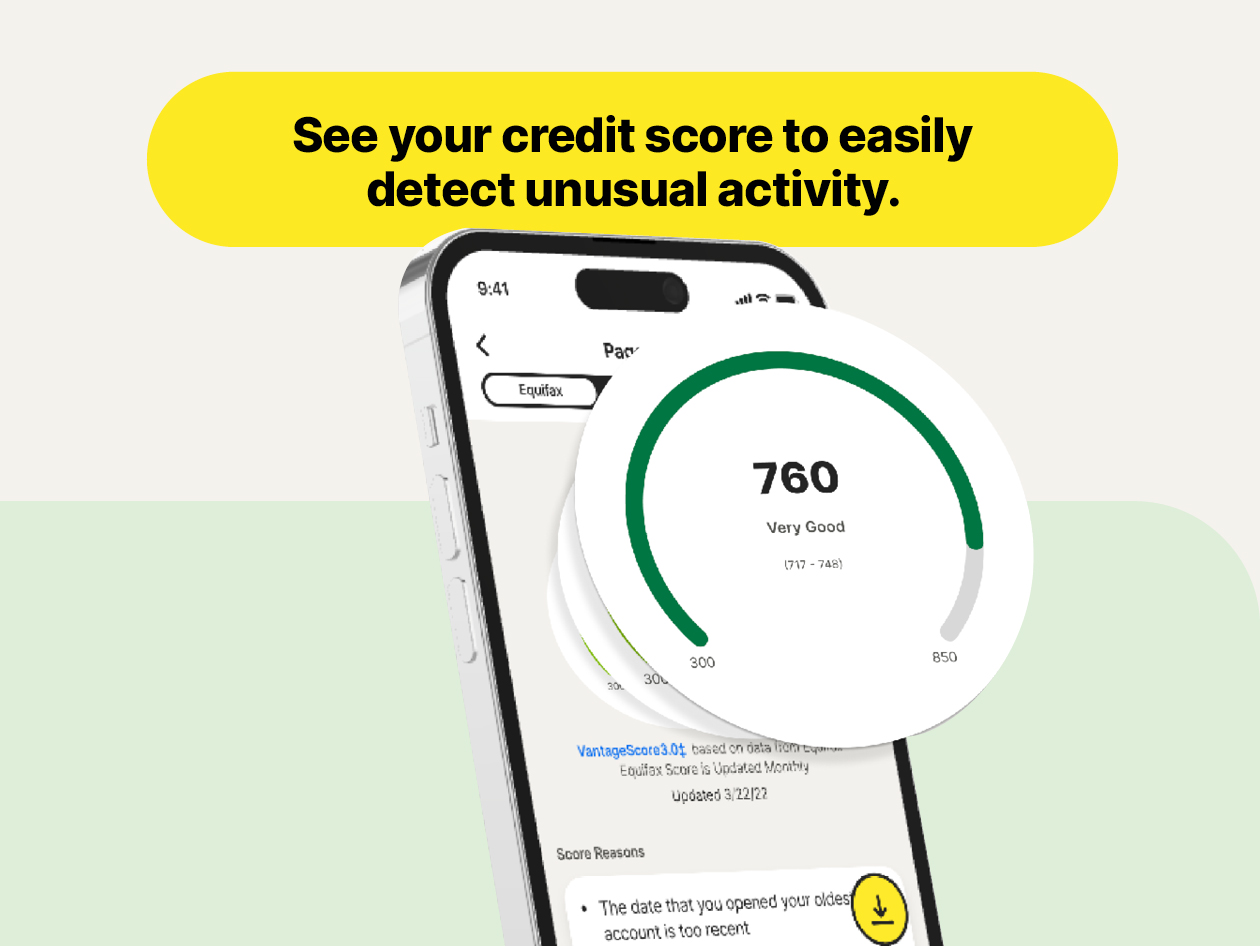 LifeLock Core Identity Theft Protection (1 Adult/15 Month Subscription)