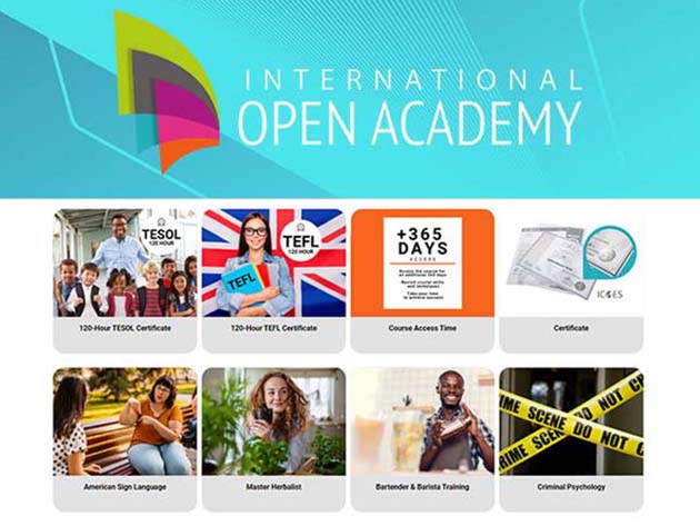 Teaching Spanish as a Foreign Language (ELE Online)