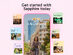 Rosetta Stone Sapphire: 1-Year Subscription