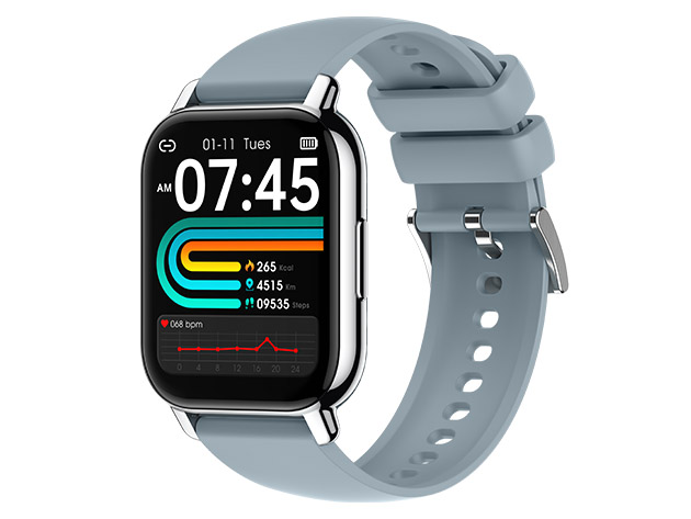 Pro Fit Buddy: A Sports Wellness & Activity Partner (Gray)