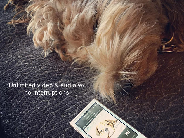 Relax My Dog Video Streaming: 5-Yr Subscription