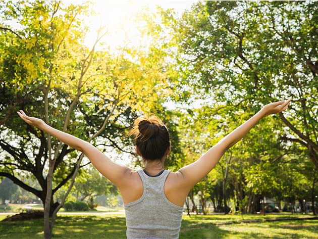 The Health & Fitness Bundle
