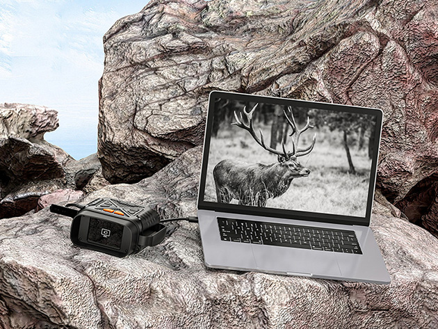 1080p/2MP 2600' Night Vision Binoculars with 2.8" Screen & 10x Zoom