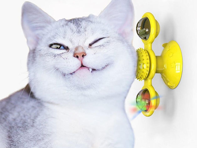 Cat LED Toy Spinner