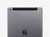 Apple iPad 10.2" (2019) 7th Gen 32GB Wi-Fi & Cellular Space Gray (Refurbished)