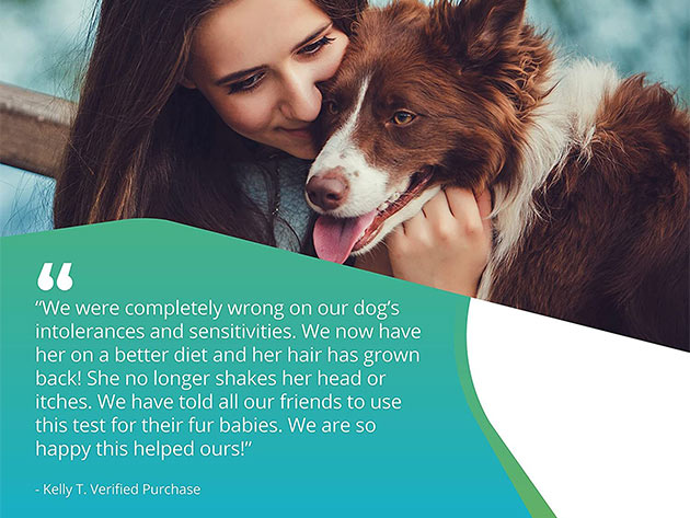 5Strands Pet Food & Environmental Intolerance Test