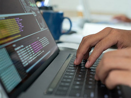The Oracle 11g PL/SQL Bootcamp Bundle