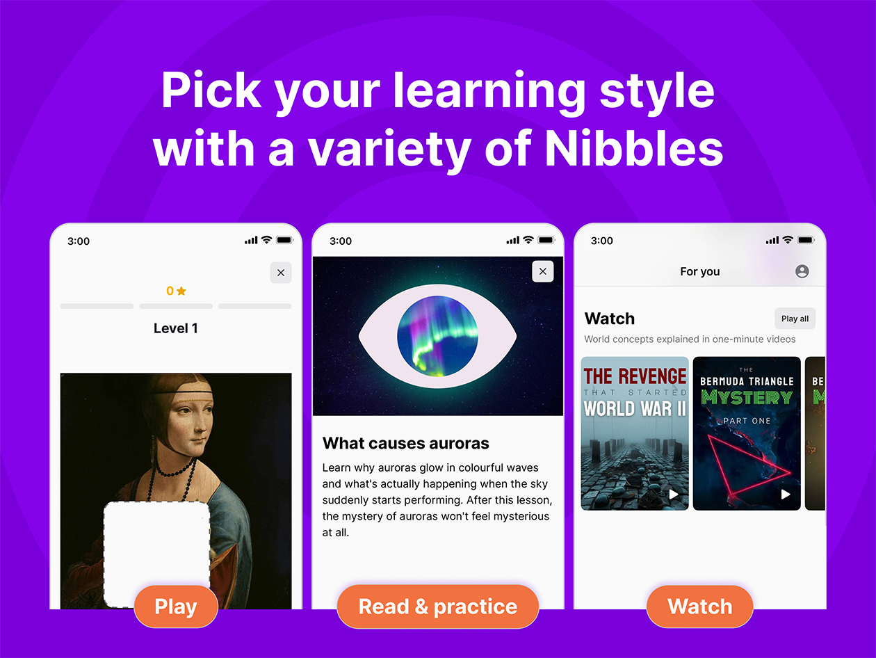 Nibble All-Around Knowledge App (Lifetime Subscription)