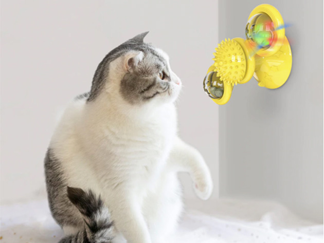 Cat LED Toy Spinner