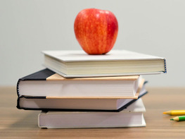 The IELTS Master Class Bundle