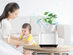 Desktop Air Purifier with Planter