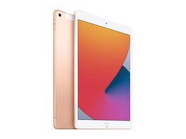 Apple iPad (2019) 7th Gen 32GB Wi-Fi & 4G Unlocked Gold (Refurbished)