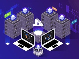 The Network Fundamentals Bundle