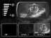 4K/36MP 1300' Night Vision Binoculars with 4.5" Screen, 8x Zoom & 32GB Card