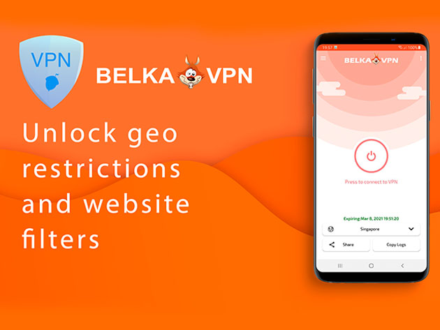 BelkaVPN: Lifetime Subscription