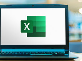 Learn the Basics of Excel