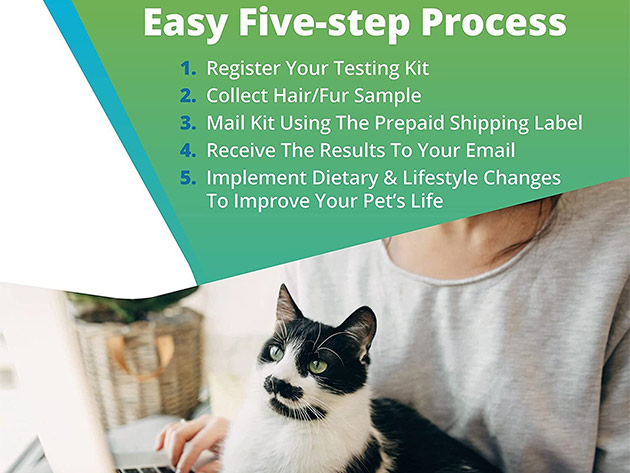 5Strands Pet Food & Environmental Intolerance Test