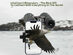 12X50 HD Binoculars with Phone Adapter (Refurbished)