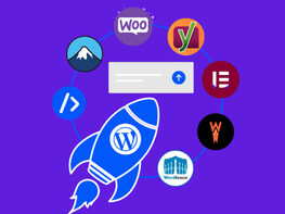 Hostverge WordPress Hosting: Lifetime Subscription