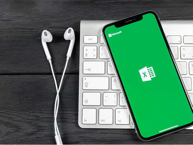 Learn the Basics of Excel