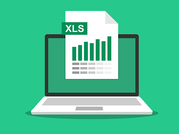 Pivot Tables for Beginners