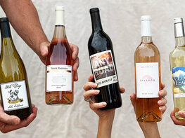 Choose Your Own 10 Premium Wines - Up to $200 value! (Shipping Not Included)