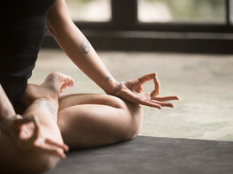 The 2026 Yoga Teacher Training Bundle