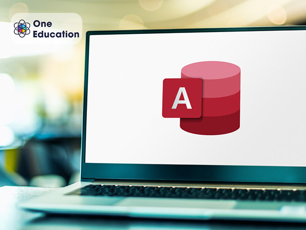 Microsoft Office Course Bundle