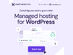 Hostinger Web Hosting for Managed WordPress: (Business/ 1 Year Subscription)