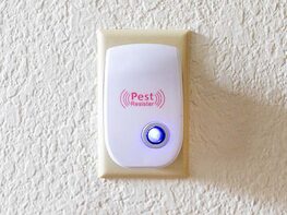 Pest Resister