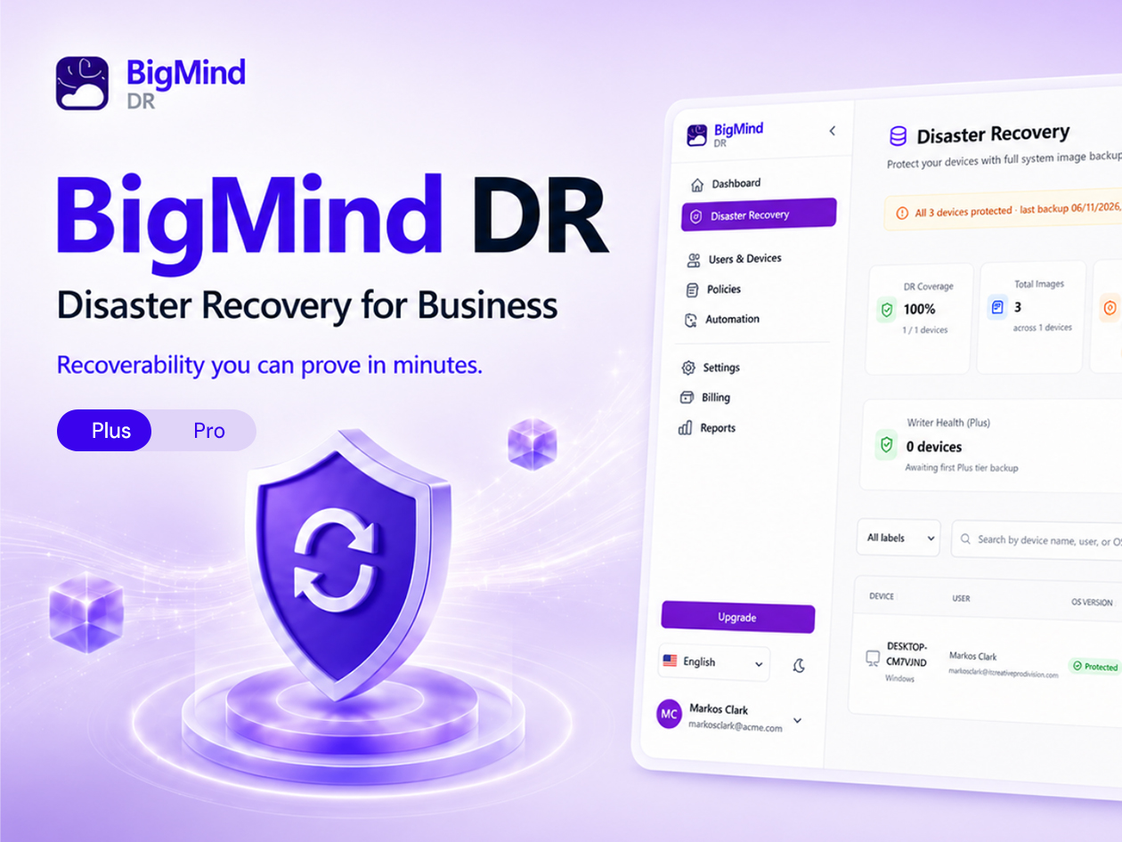 BigMind Disaster Recovery Plus Plan: Lifetime Subscription