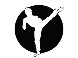 Martial Arts Workout Challenge: Daily Exercise Routines Course